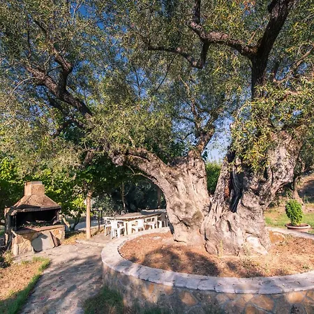 Small Village Residences *